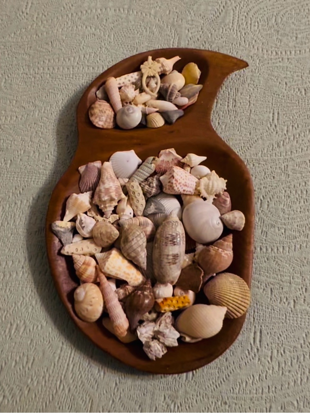 Handcrafted Monkey Pod wood divided tray w/local FL shells.